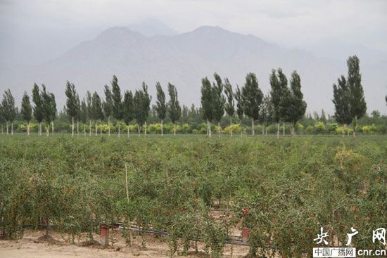 ������轺��� �����߸��ũЦ��