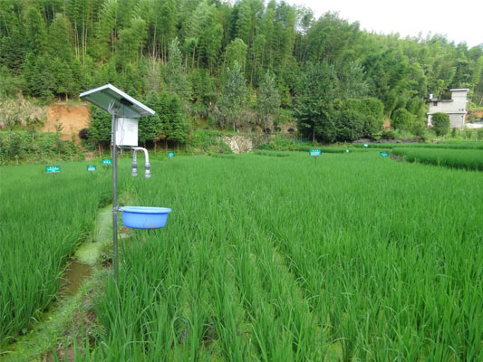 ����������ˮ�����溦��ɫ��������Ч