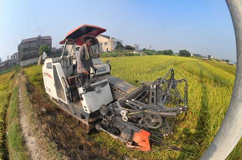 ����ʡ�������̵������չ� �ٽ����135Ԫ