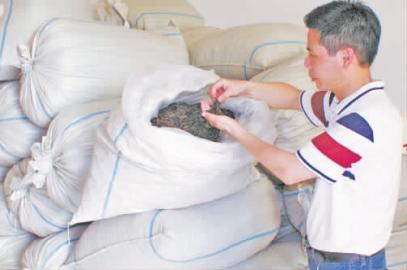 ���������У������Ų������ٲ���Ʈ��