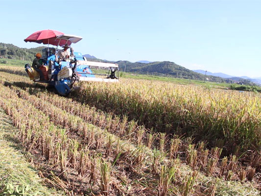 �����������絾�ѿ����ո�