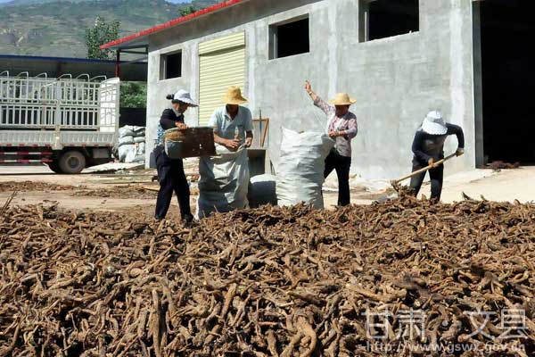 �������ش�����չ��ҩ�Ĳ�ҵ ��ֲ�����11.98��Ķ2