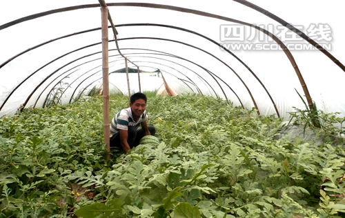 ���Ϸ���