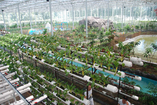 �ִ�ũҵչʾ���仧�㽭�������