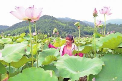 ����������5��Ķ���������ժ��