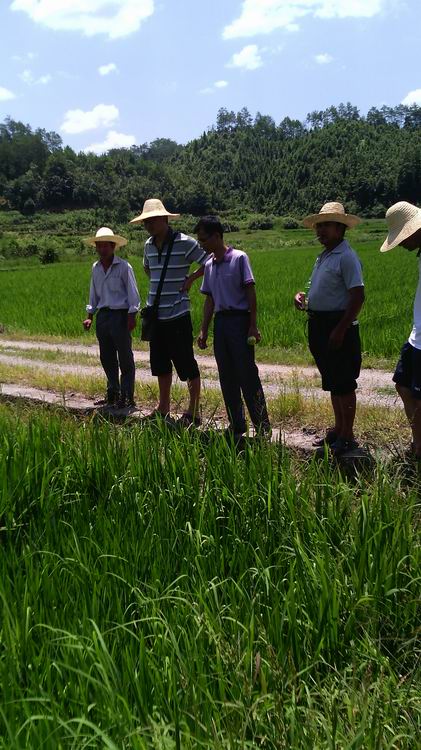 ������Ϫ��ץ��ˮ�����ֻ��ؼ��