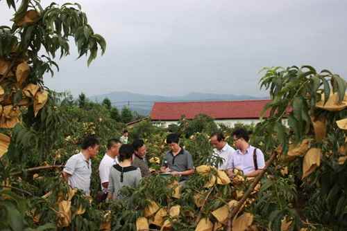 ����������ũҵר������������Ի��ҽ��в��