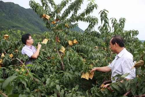 ����������ũҵר������������Ի��ҽ��в��2