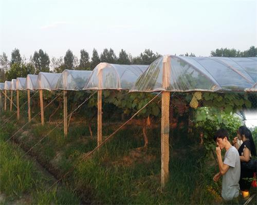 ����������ͨ�����������˺�ӭ��