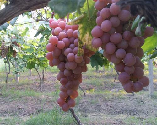 ����������ͨ�����������˺�ӭ��2