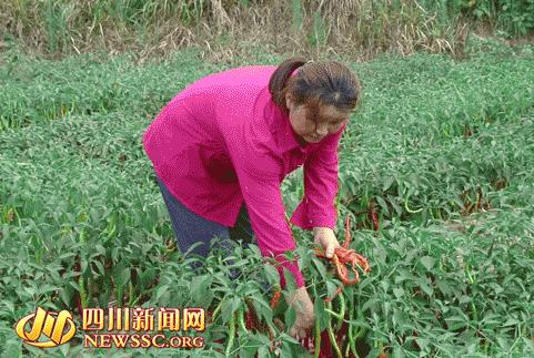 �Ĵ�����ʯ���򡰶�����������ũ�¸�