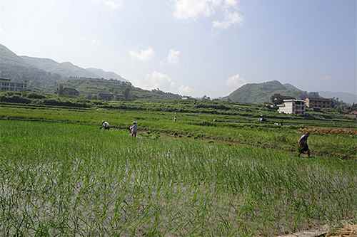 �˹�������׷�Ҹ�