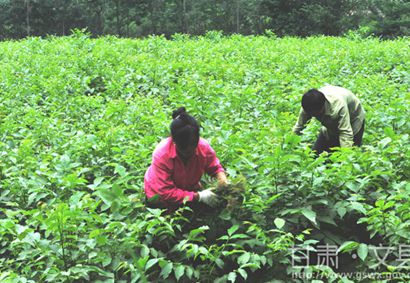 �������ػ�������Ⱥ�ڷ�չ��ľ��ҵ