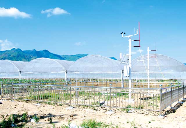 �������������������������