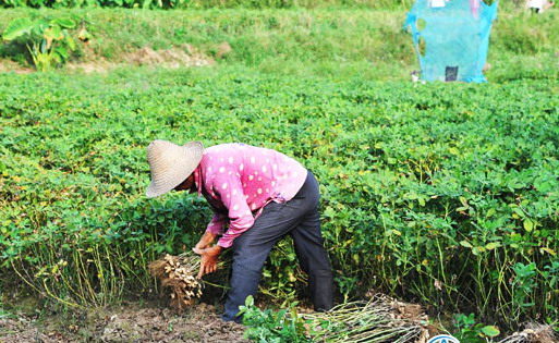 ��������ũ��������������