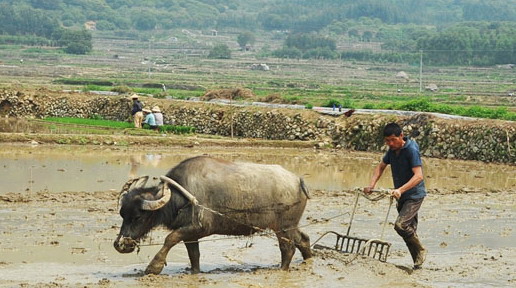 ��������ũ��������������