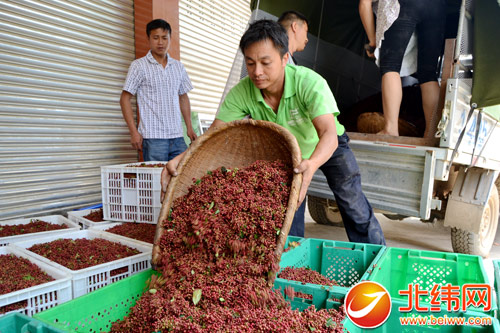 �Ĵ���Դ�����۸����� ���ؽ�ũ��ժæ