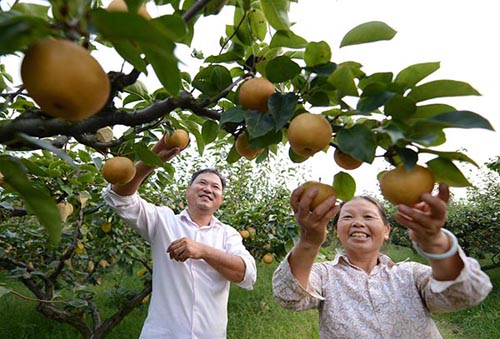 ������Ϫ�������¸�