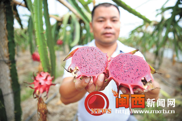 ���������ĺ���רҵ������̨����������������ʢ