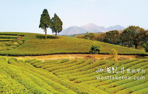 �������½��������������ҵת������