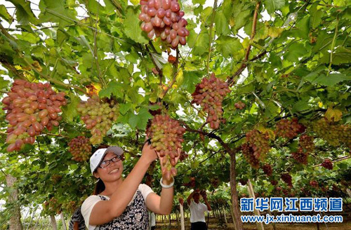 �����������ѷ���