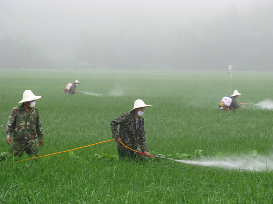 ������������չˮ�����溦ͳ��ͳ��