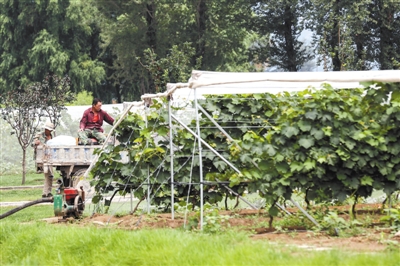 �������죺�����������������ʱ����