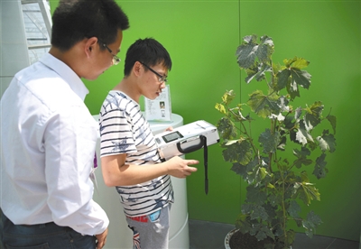 ����԰�ڣ�������Ա�ڲ���һ���������ѵ��¶ȡ�