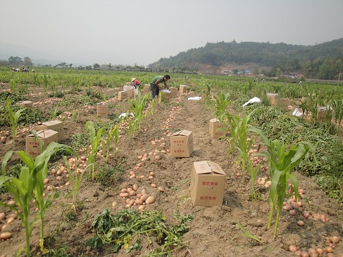 ���������ض����������۳�2