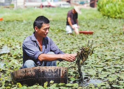 ����������ǣ�����ˮ�׵ġ���Ԫ���� �����ֺ���