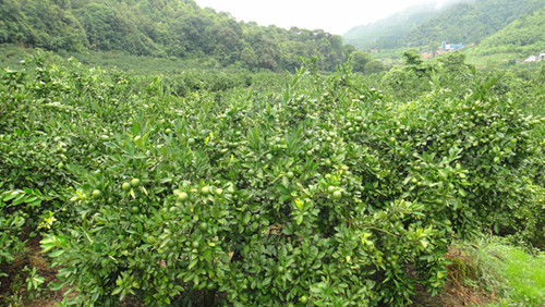 ������Ϫ��ǧĶ�����۽۷�������