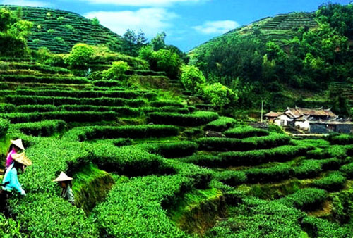 ��ȫ���ص�����ء�������ƽ����Ҷ���ֵ����Ԫ