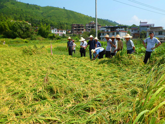 ����������ˮ����ֲ���պ�