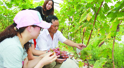 ��ǽ�ڿ���ǽ���㡱 �Ĵ���������ˮ������߳�����