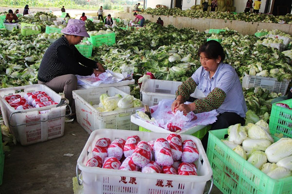 ����������ԭ�Ĳ�Զ�������غ�