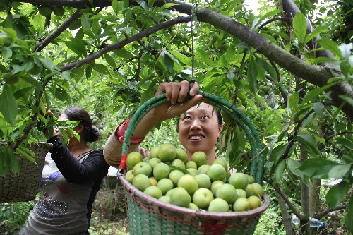 �Ĵ�ï���������������������2