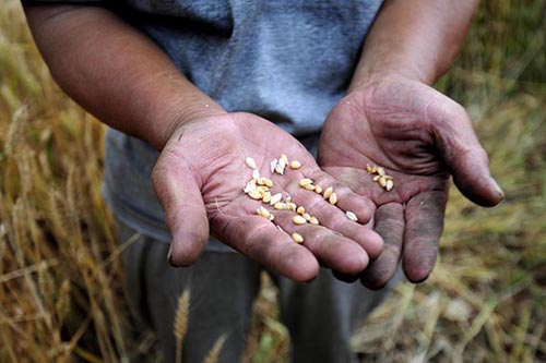 ɽ��С��Ķ�����¸�