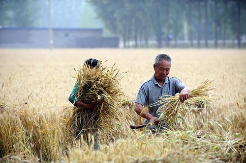 6��12�գ��ٷ���Ң�������Ŵ�������ڸ����ӡ�