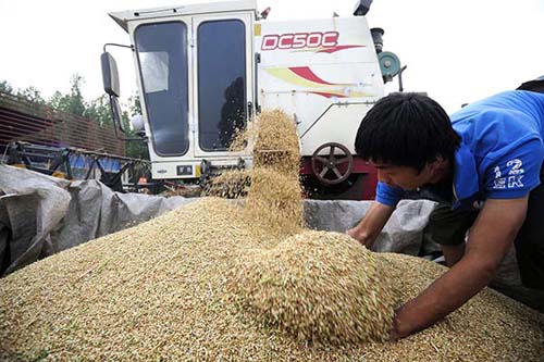 6��12�գ��ٷ���Ң�������Ŵ��������ʹ��ũ����С��������