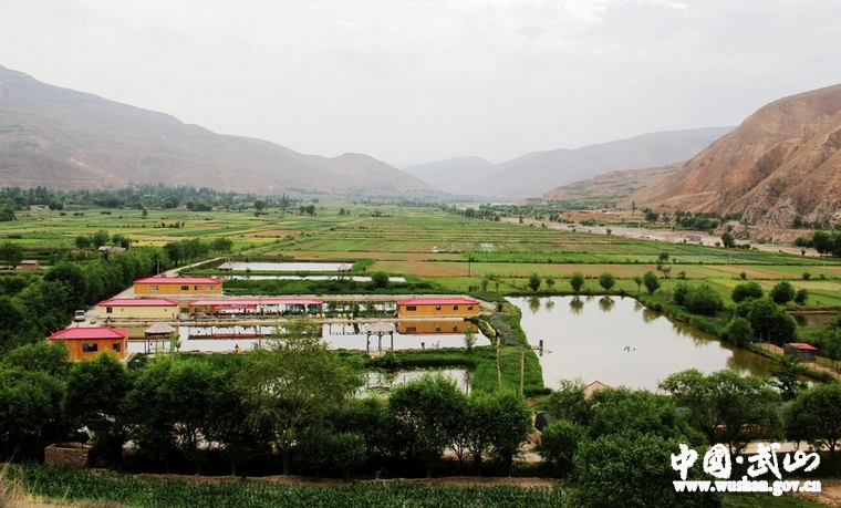 ������ɽ���Ȳ��ƽ�ũ��������ת��Ӫ��������