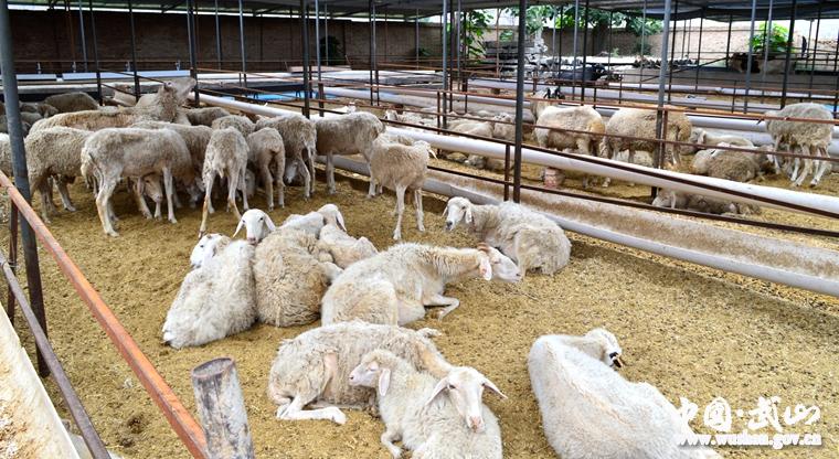 ������ɽ���Ȳ��ƽ�ũ��������ת��Ӫ��������2