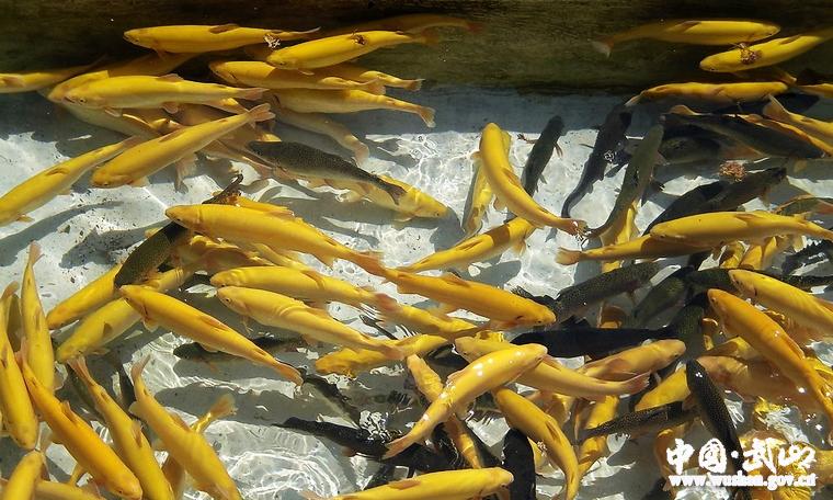 ������ɽ���Ȳ��ƽ�ũ��������ת��Ӫ��������3