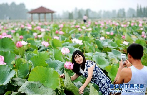 �����������ԡ�����Ϊý���조����ҵ��