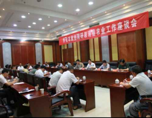 ��̸���ֳ�