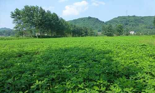 �������������ʸ߲�������������