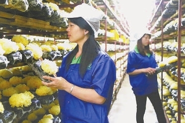 �������������������໺�⡰����ì�ܡ�