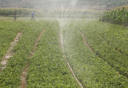 �������Ͱ����ѿ�ʼ����