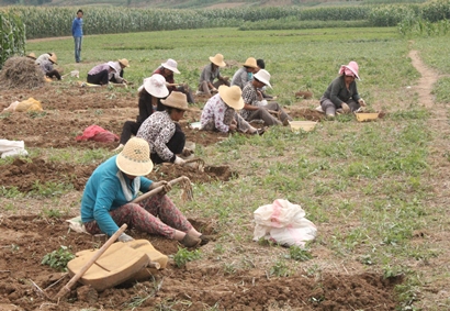 �������Ͱ����ѿ�ʼ����2