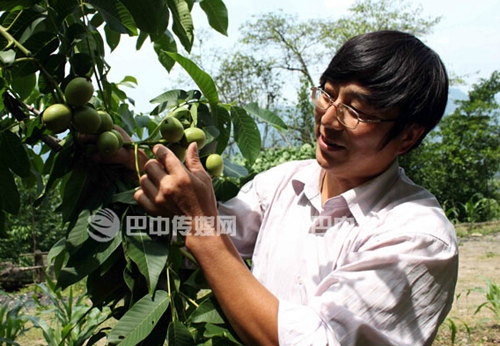 �Ĵ��Ͻ��ӿ��ƽ��ִ�ũҵ��ҵ��չ