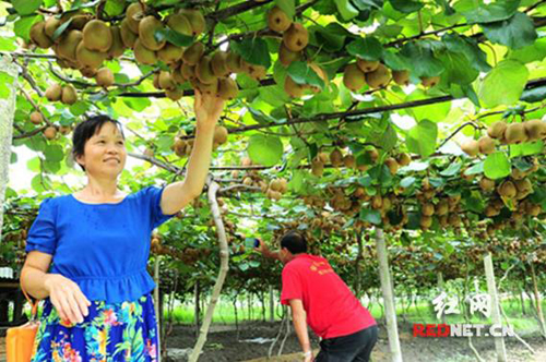 ����¡����Ķ��̼��̬⨺��ҡ�������ۡ�